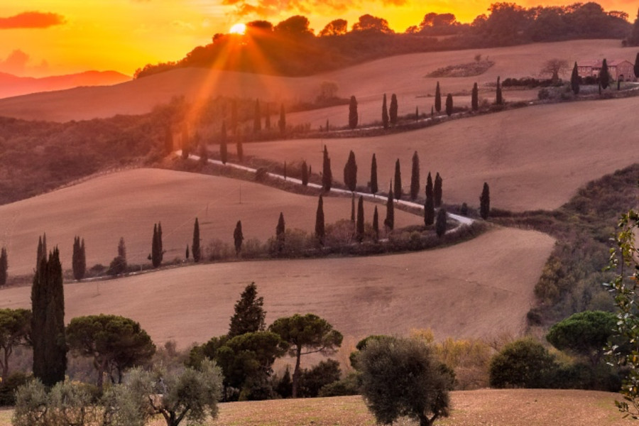 Self Drive Toscana